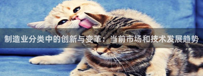 彩神ix可靠吗：制造业分类中的创新与变革：当前市场和技术发展趋势