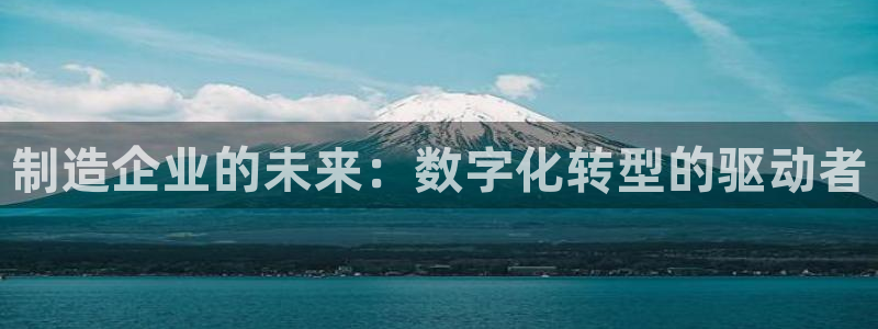 彩神赢的钱是哪里来的啊：制造企业的未来：数字化转型的驱动者