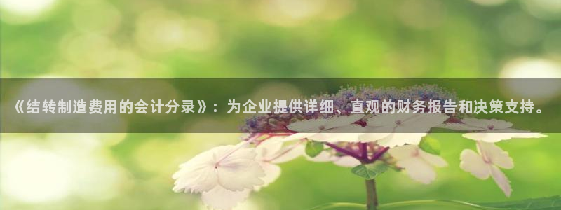 彩神vlll游戏特色：《结转制造费用的会计分录》：为企业提供详细、直观的财务报告和决策支持。