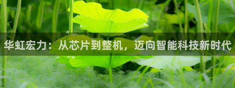 彩神v破解版