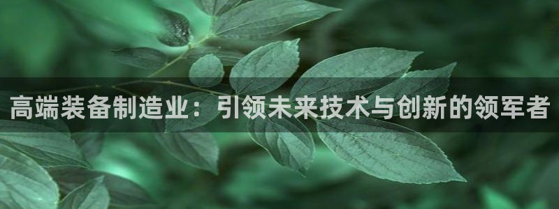 彩神v8是一个什么平台游戏：高端装备制造业：引领未来技术与创新的领军者