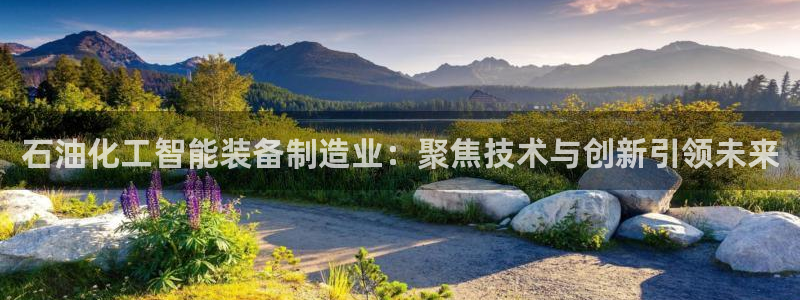 彩神8是正规平台吗安全吗：石油化工智能装备制造业：聚焦技术与创新引领未来