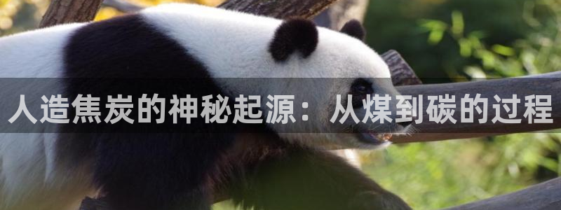 彩神ix可靠吗