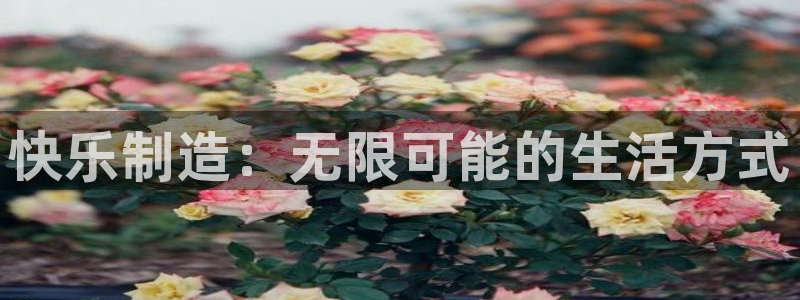 彩神广告有限公司