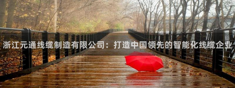 彩神vl官网：浙江元通线缆制造有限公司：打造中国领先的智能化线缆企业