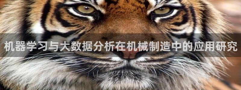彩神正规吗：机器学习与大数据分析在机械制造中的应用研究