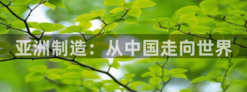 彩神vii手游下载：亚洲制造：从中国走向世界
