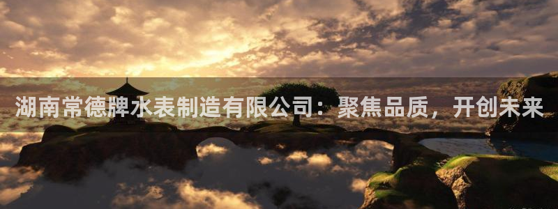 彩神v彩搜狗：湖南常德牌水表制造有限公司：聚焦品质，开创未来