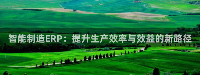 彩神app能挣到钱吗：智能制造ERP：提升生产效率与效益的新