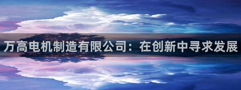 彩神v秘聊号码：万高电机制造有限公司：在创新中寻求发展