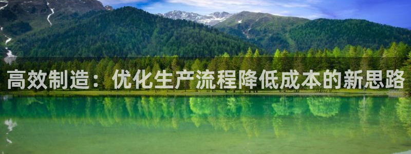彩神vlll官网网上购彩：高效制造：优化生产流程降低成本的新思路