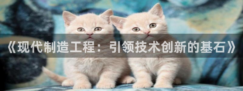 彩神合法吗.是国家认可的吗：《现代制造工程：引领技术创新的基石》