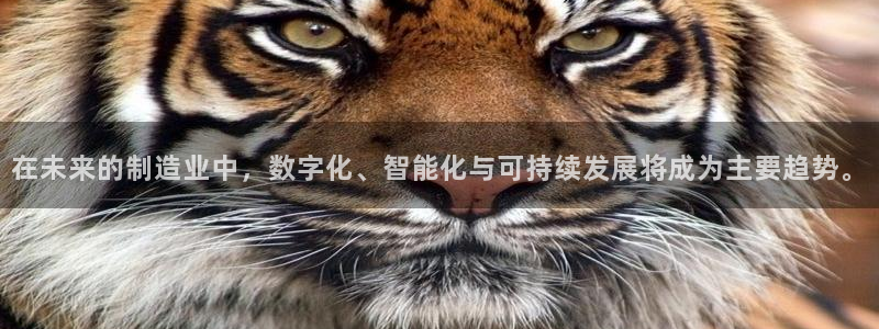 所有彩神购买首页都一样吗：在未来的制造业中，数字化、智能化与可持续发展将成为主要趋势。