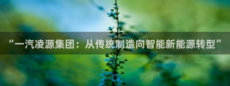 彩神大发如何观察走势：“一汽凌源集团：从传统制造向智能新能源转型”