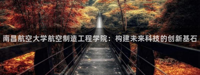 彩神vlll官方网：南昌航空大学航空制造工程学院：构建未来科