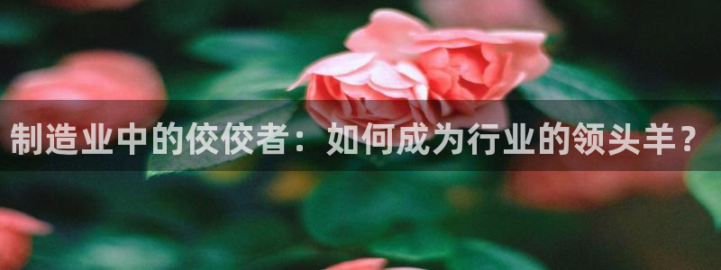 彩神通官网下载：制造业中的佼佼者：如何成为行业的领头羊？