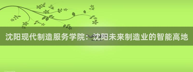 彩神平台是什么套路：沈阳现代制造服务学院：沈阳未来制造业的智能高地