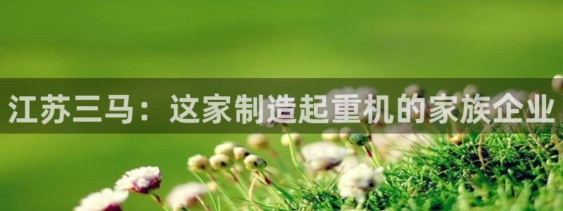 彩神ⅴll用户登录：江苏三马：这家制造起重机的家族企业