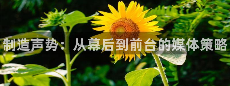 下载彩神通关注码