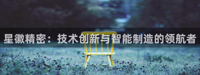 彩神到底能不能赚钱：星徽精密：技术创新与智能制造的领航者