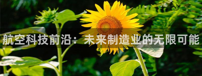 彩神v8客户端：航空科技前沿：未来制造业的无限可能