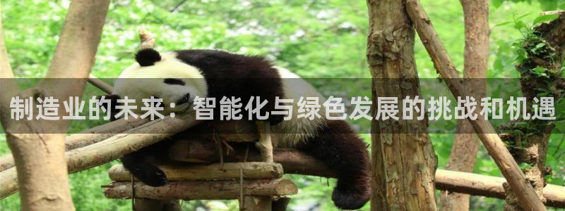 彩神8是正规平台吗是正品吗
