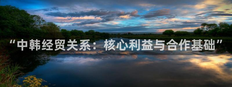 彩神v8app