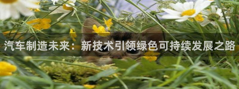 彩神v8手机客户端怎么下载