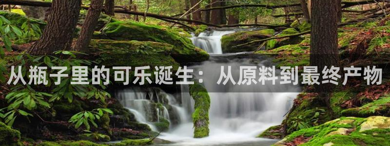 彩神8彩平台