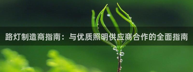 彩神v天天：路灯制造商指南：与优质照明供应商合作的全面指南