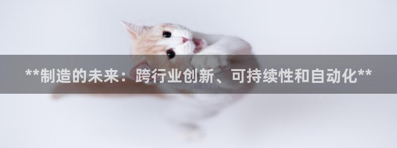 彩神8官网合法吗：**制造的未来：跨行业创新、可持续性和自动化**