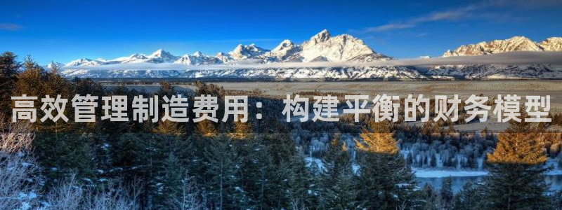 彩神8彩平台客服：高效管理制造费用：构建平衡的财务模型